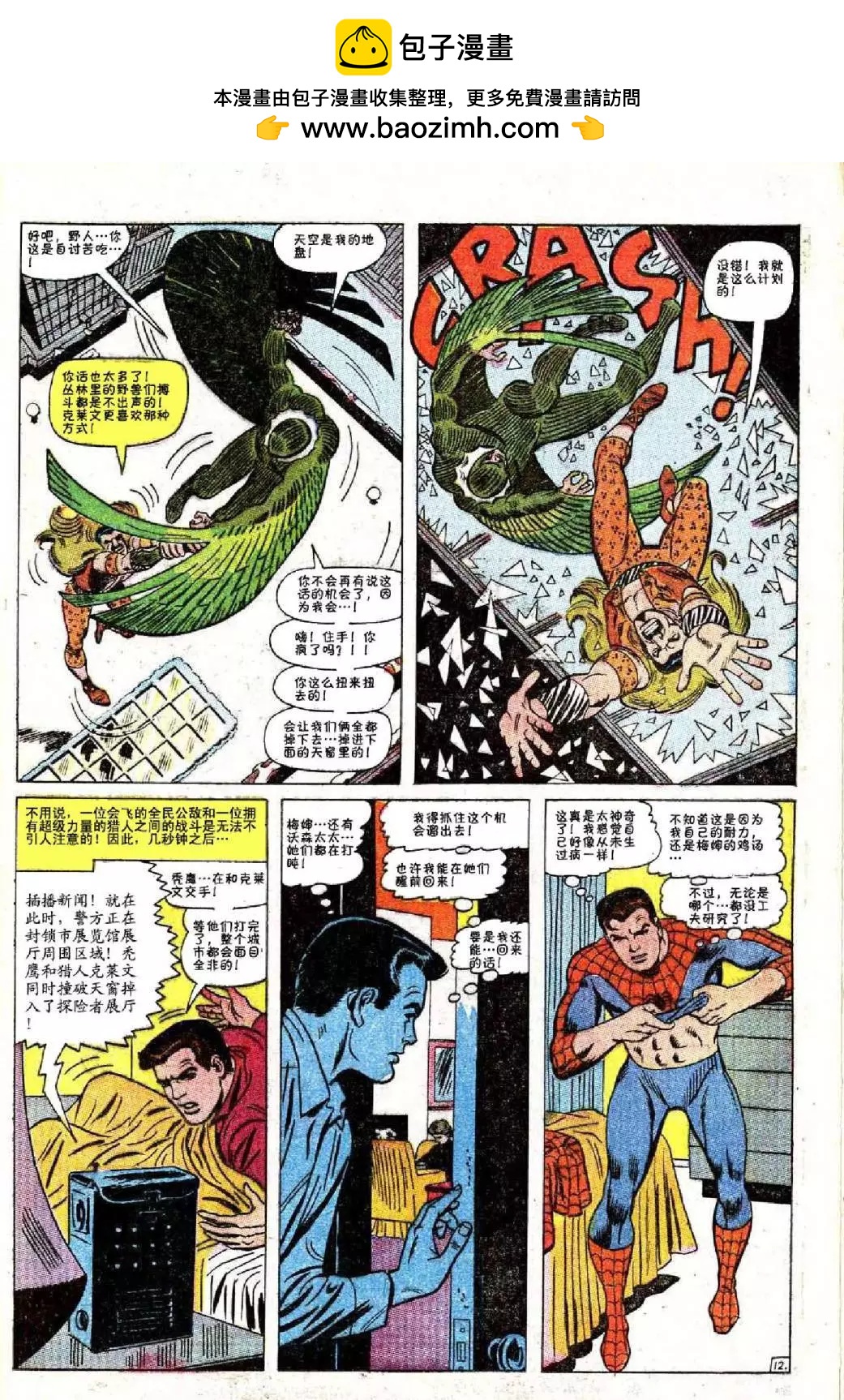 第 12 页