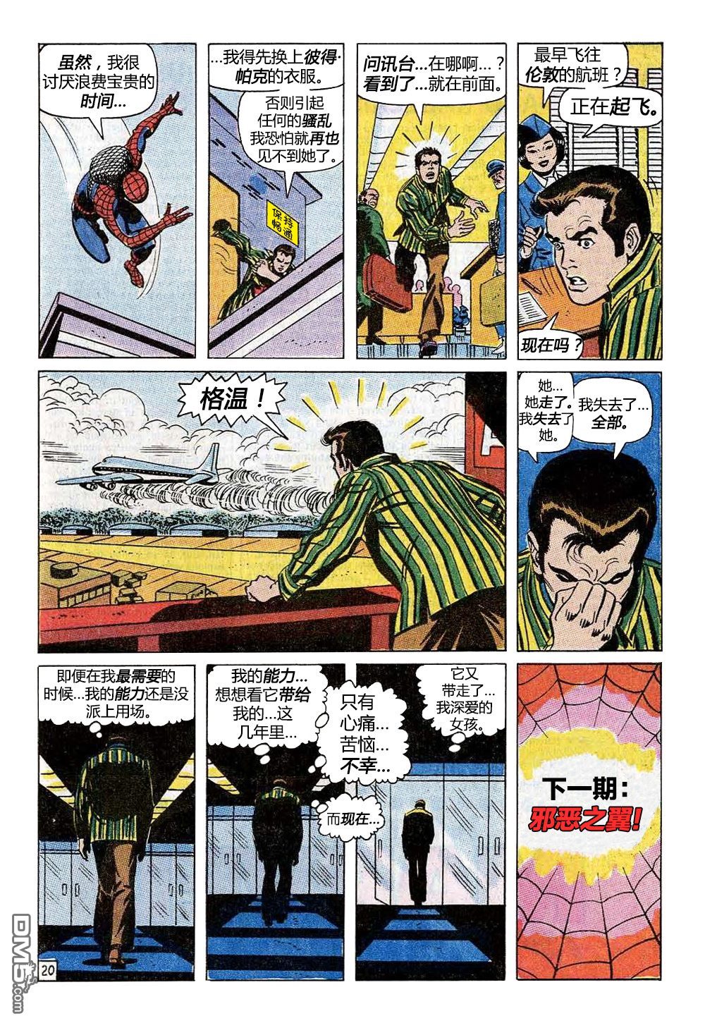 第 20 页
