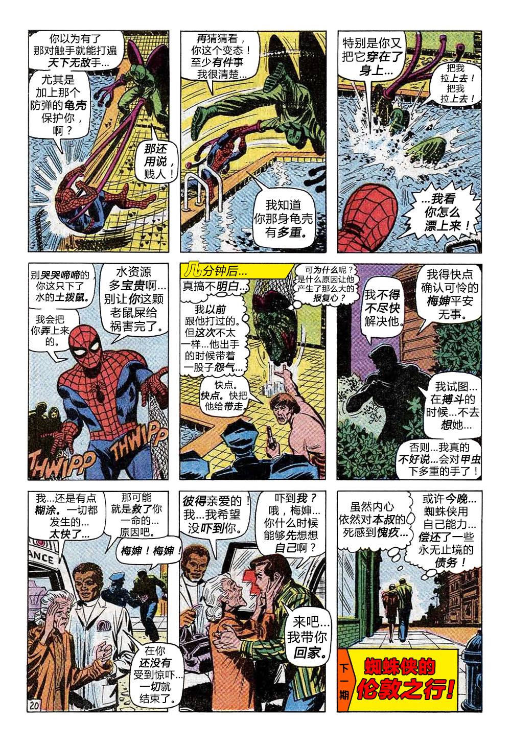 第 20 页