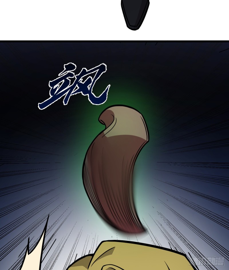 第 51 页
