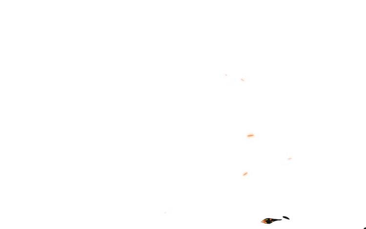 第 84 页