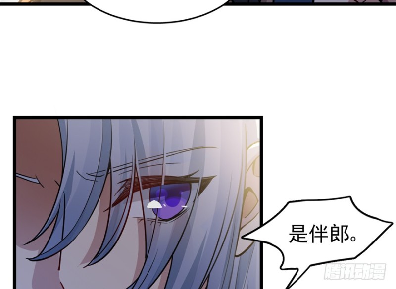 第 51 页