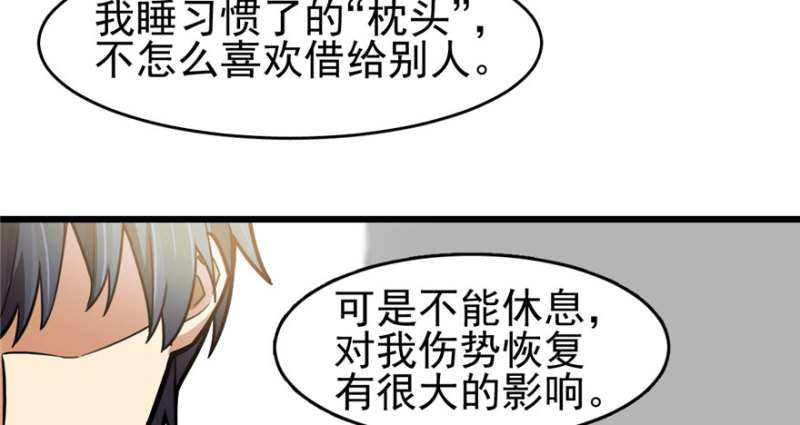 第 68 页