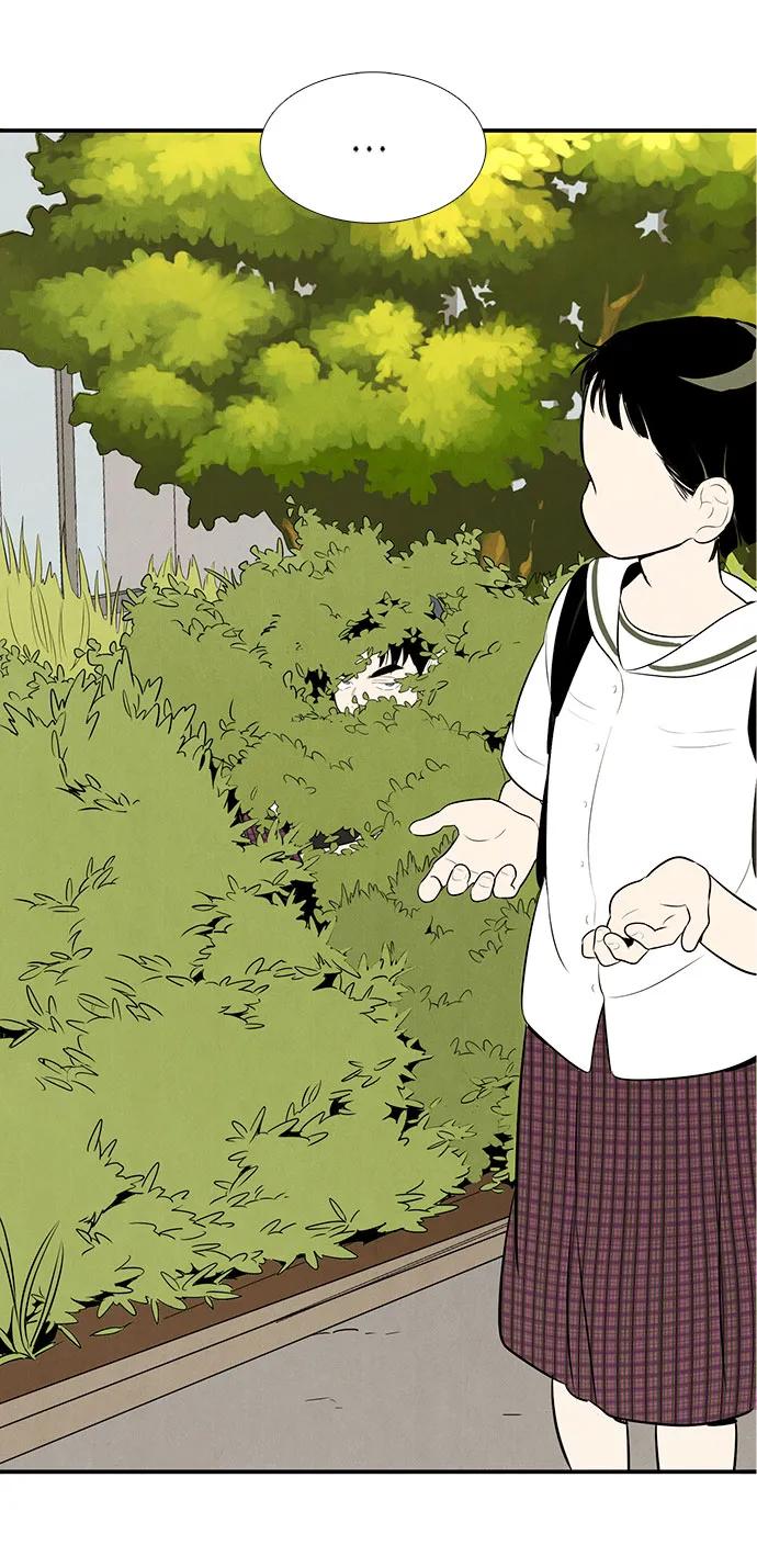 第 91 页