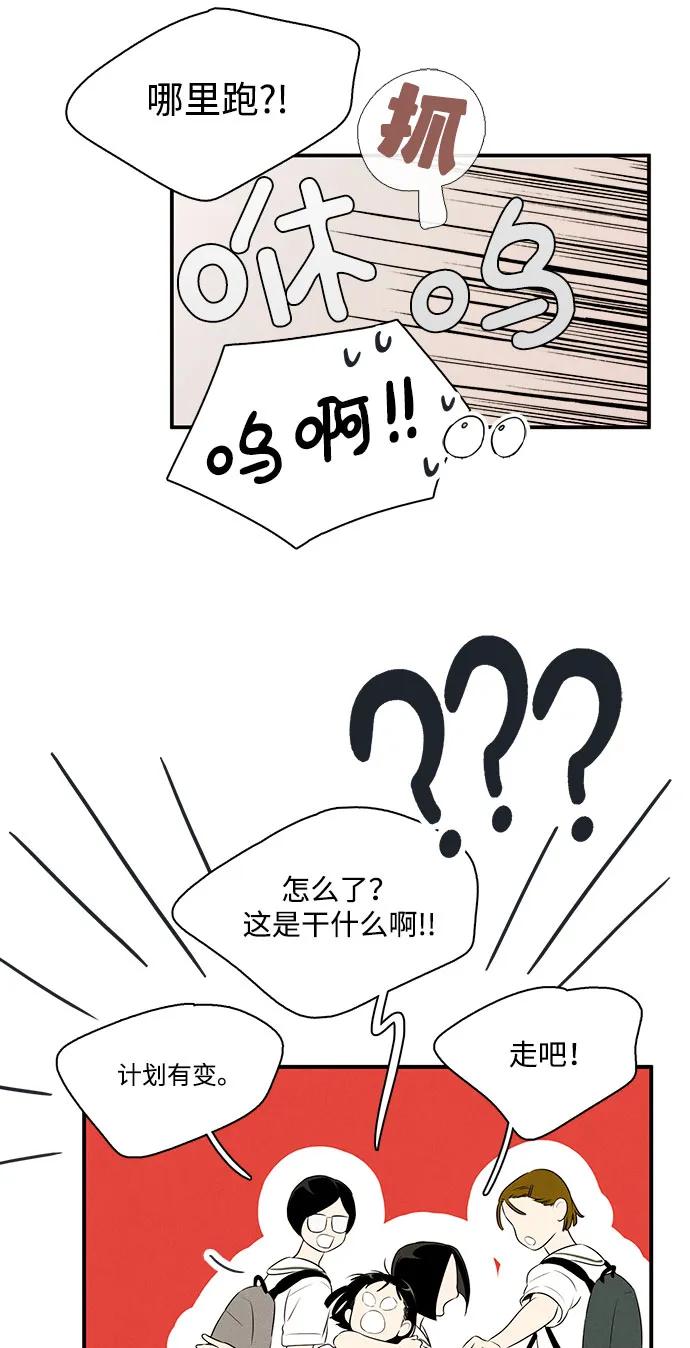第 66 页