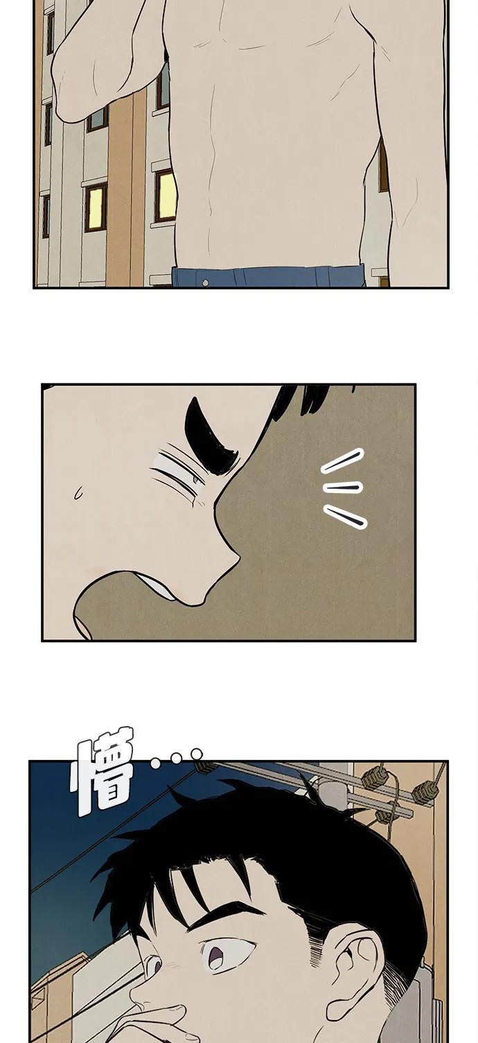 第 66 页