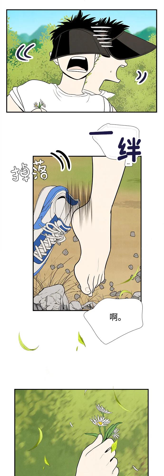 第 196 页