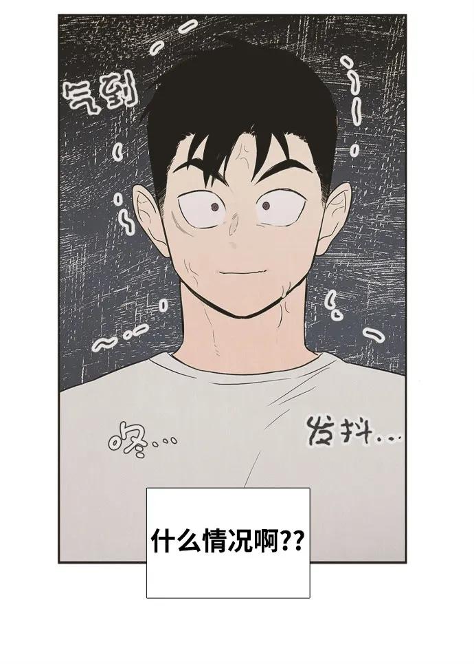 第 81 页