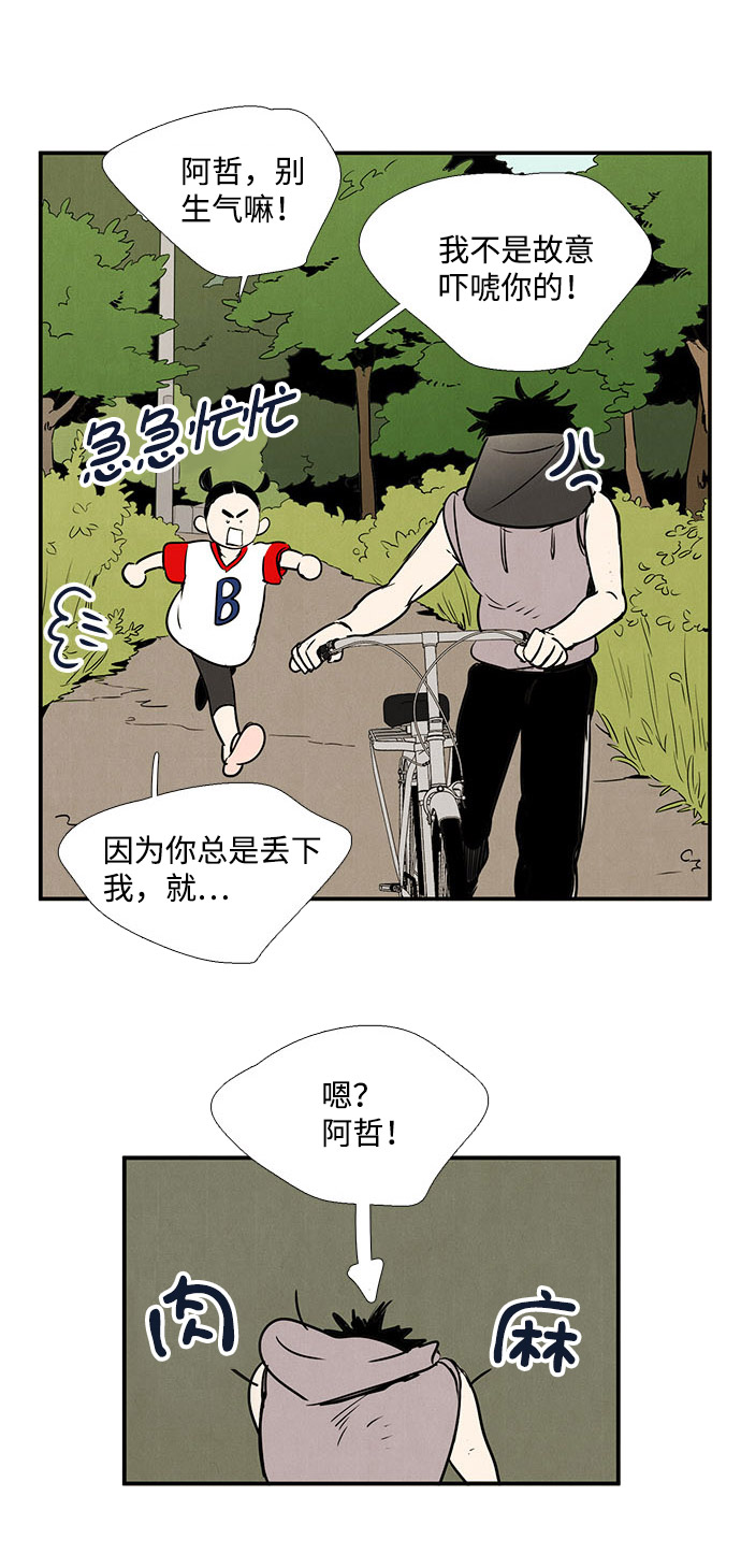 第 31 页