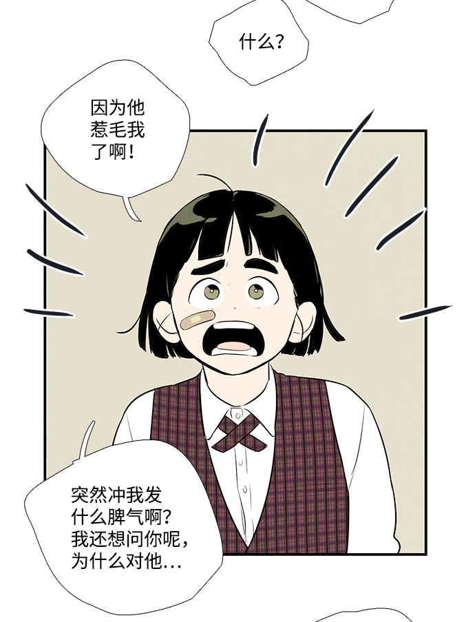 第 51 页