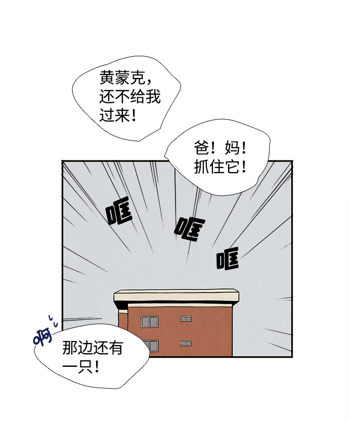 第 85 页