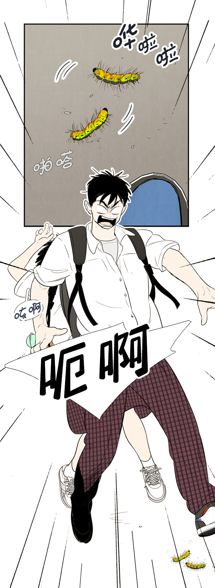 第 51 页