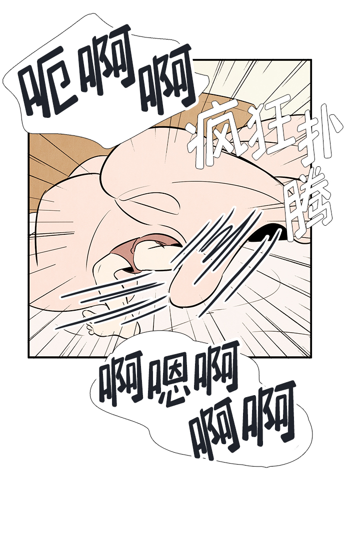第 95 页