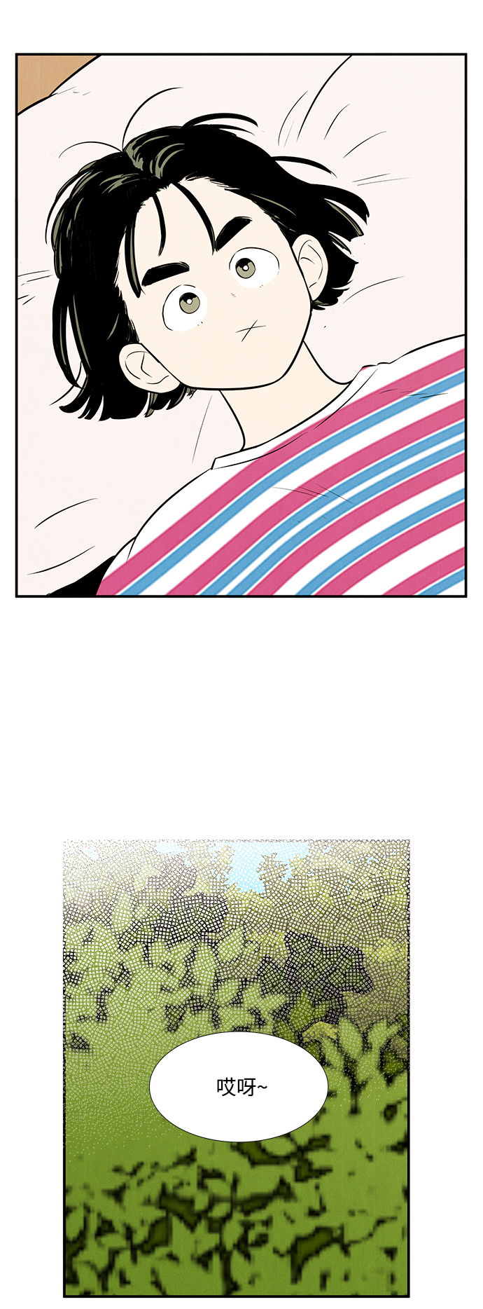 第 81 页