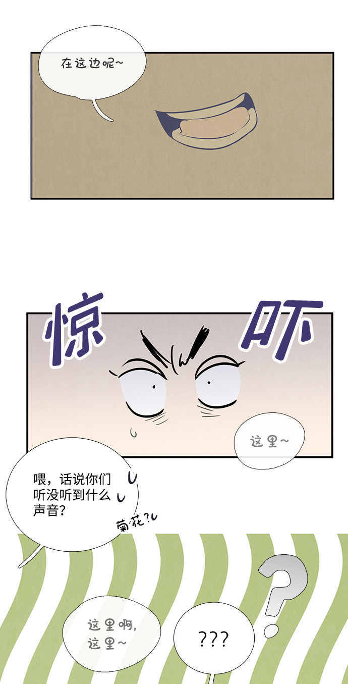 第 117 页