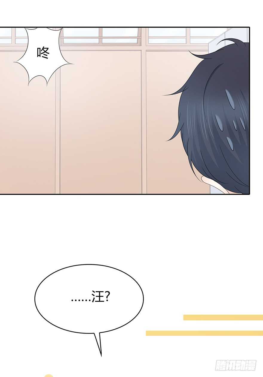 第 53 页