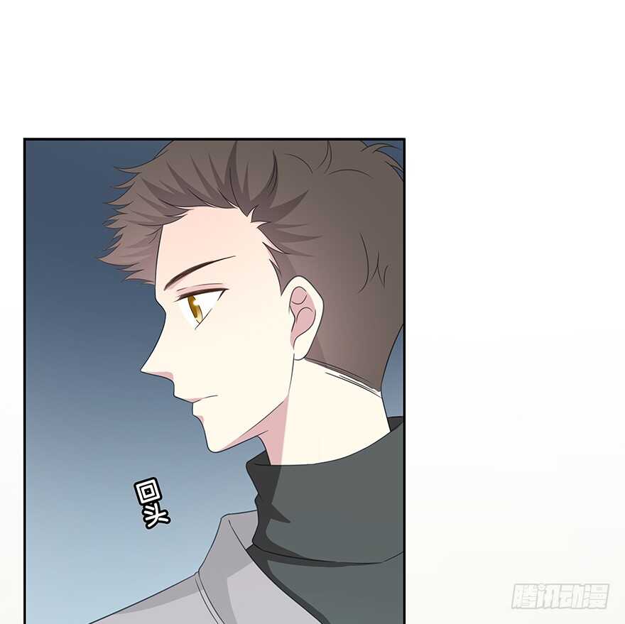 第 51 页