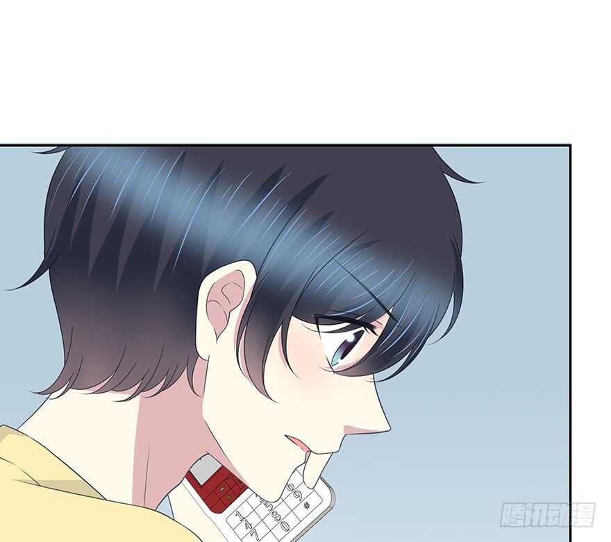 第 41 页