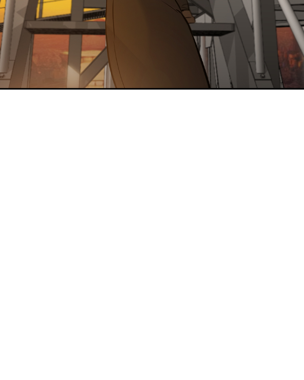 第 113 页