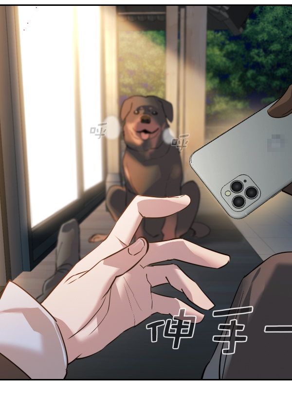 第 55 页