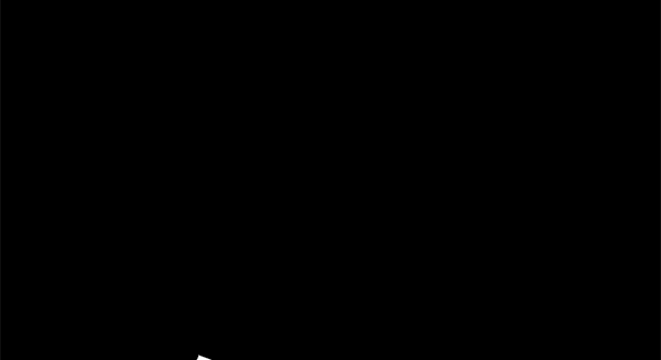 第 113 页