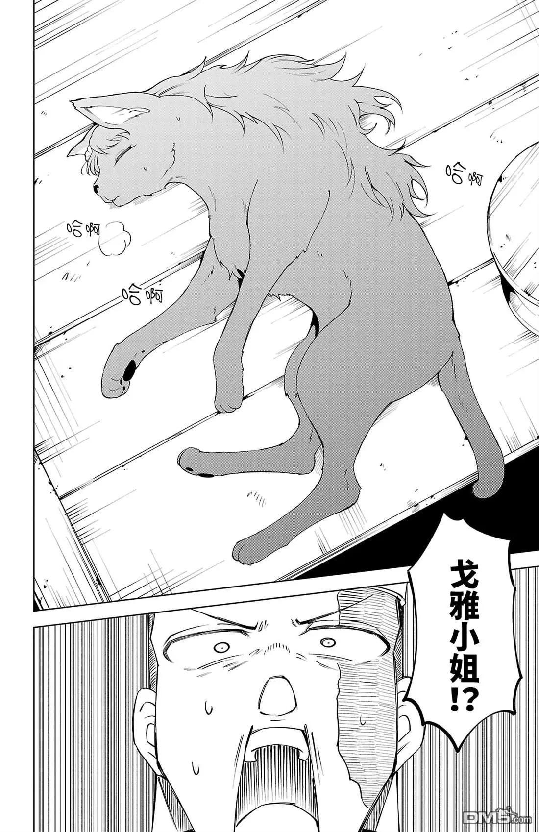 第 46 页