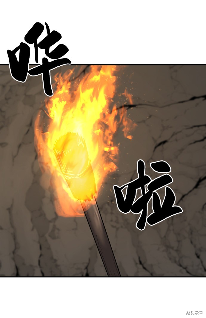第 113 页