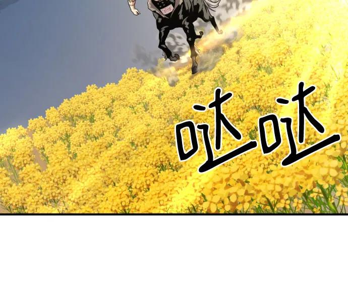 第 97 页