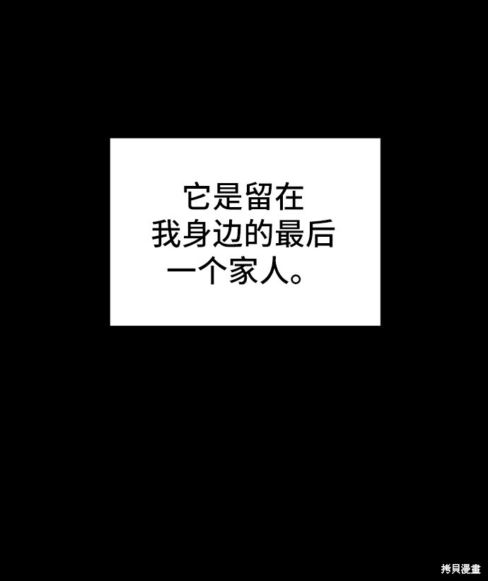 第 95 页