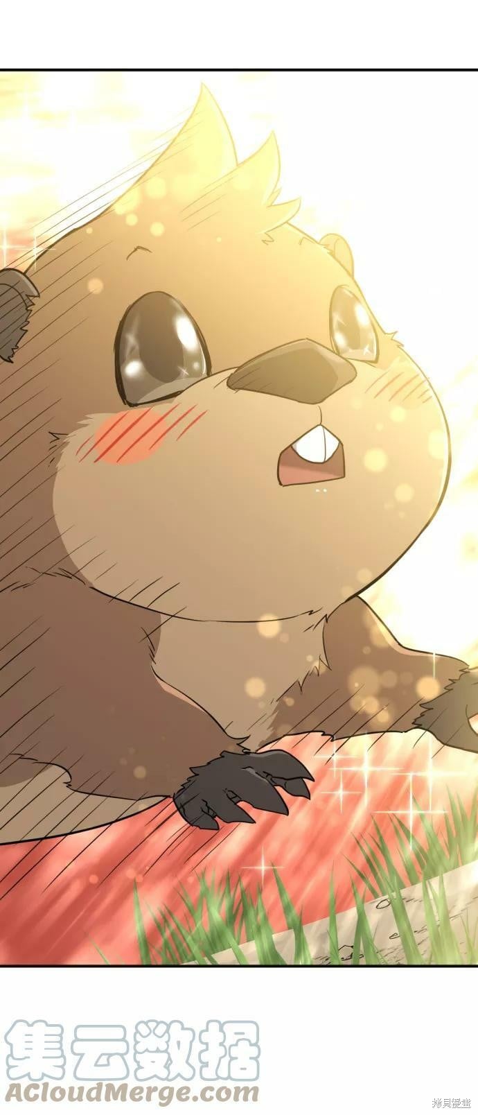 第 135 页