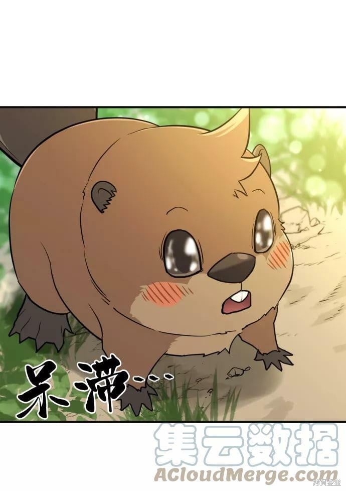 第 141 页