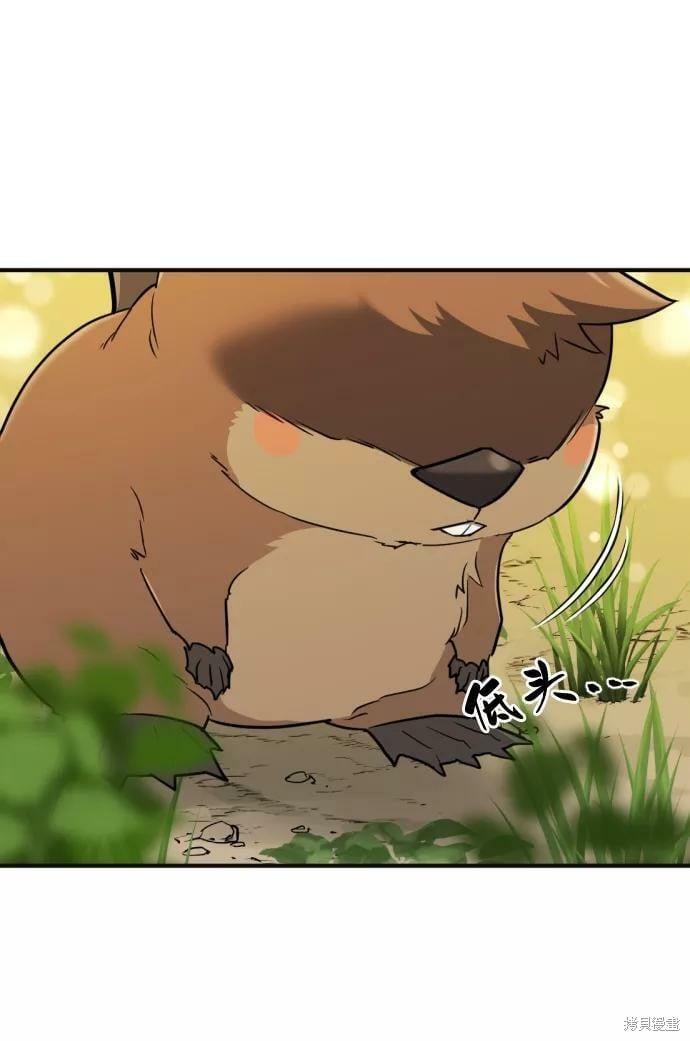 第 145 页