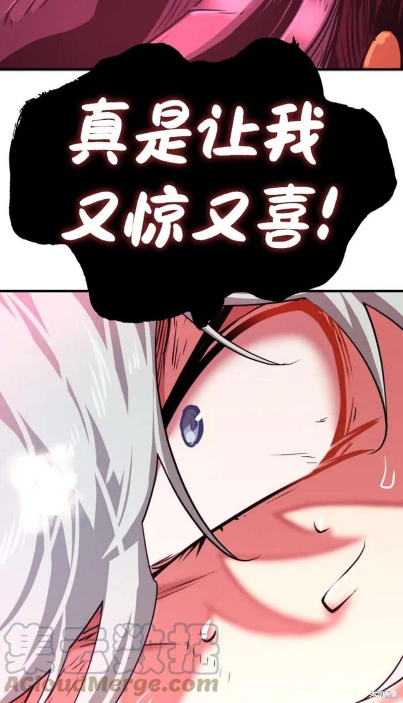 第 213 页