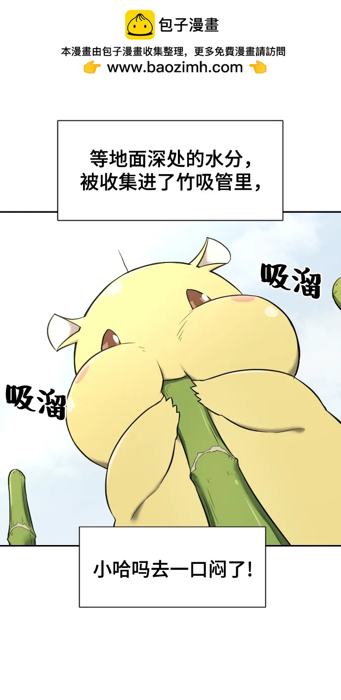 第 78 页