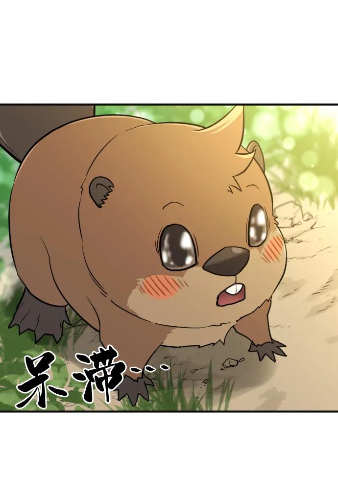 第 146 页