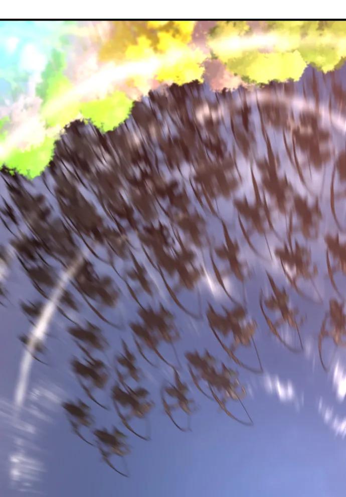 第 146 页