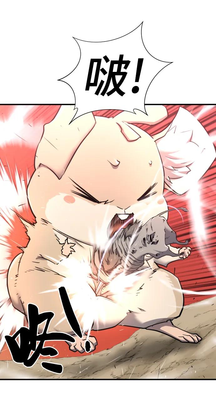 第 74 页
