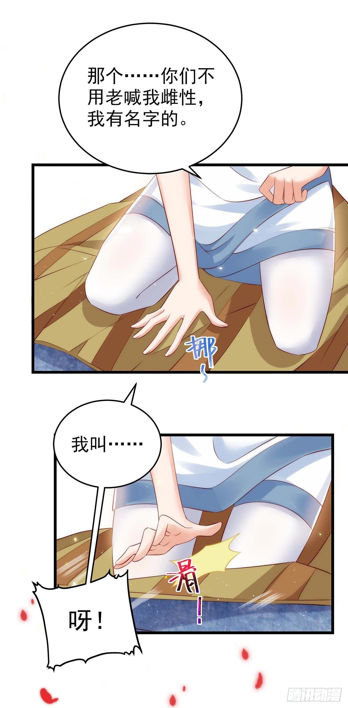 第 41 页