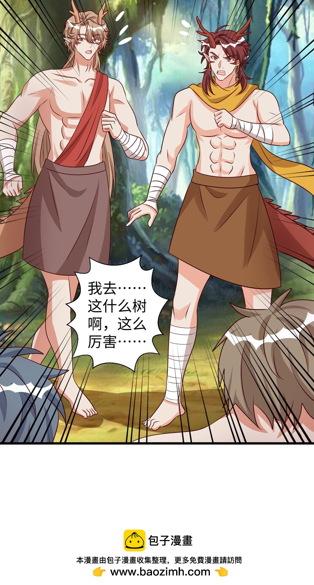 第 33 页