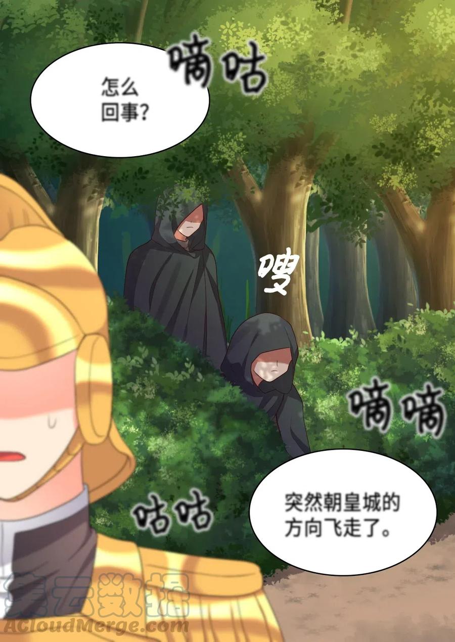 第 61 页