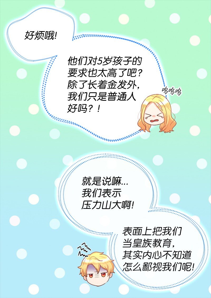 第 53 页