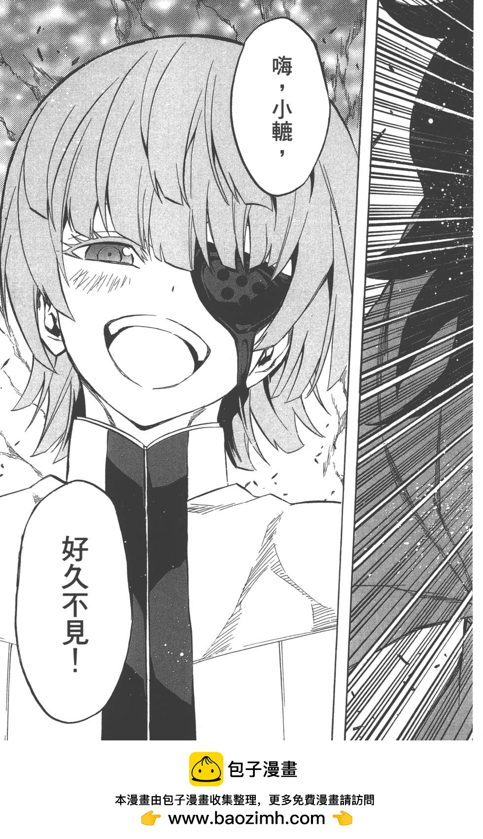 第 100 页