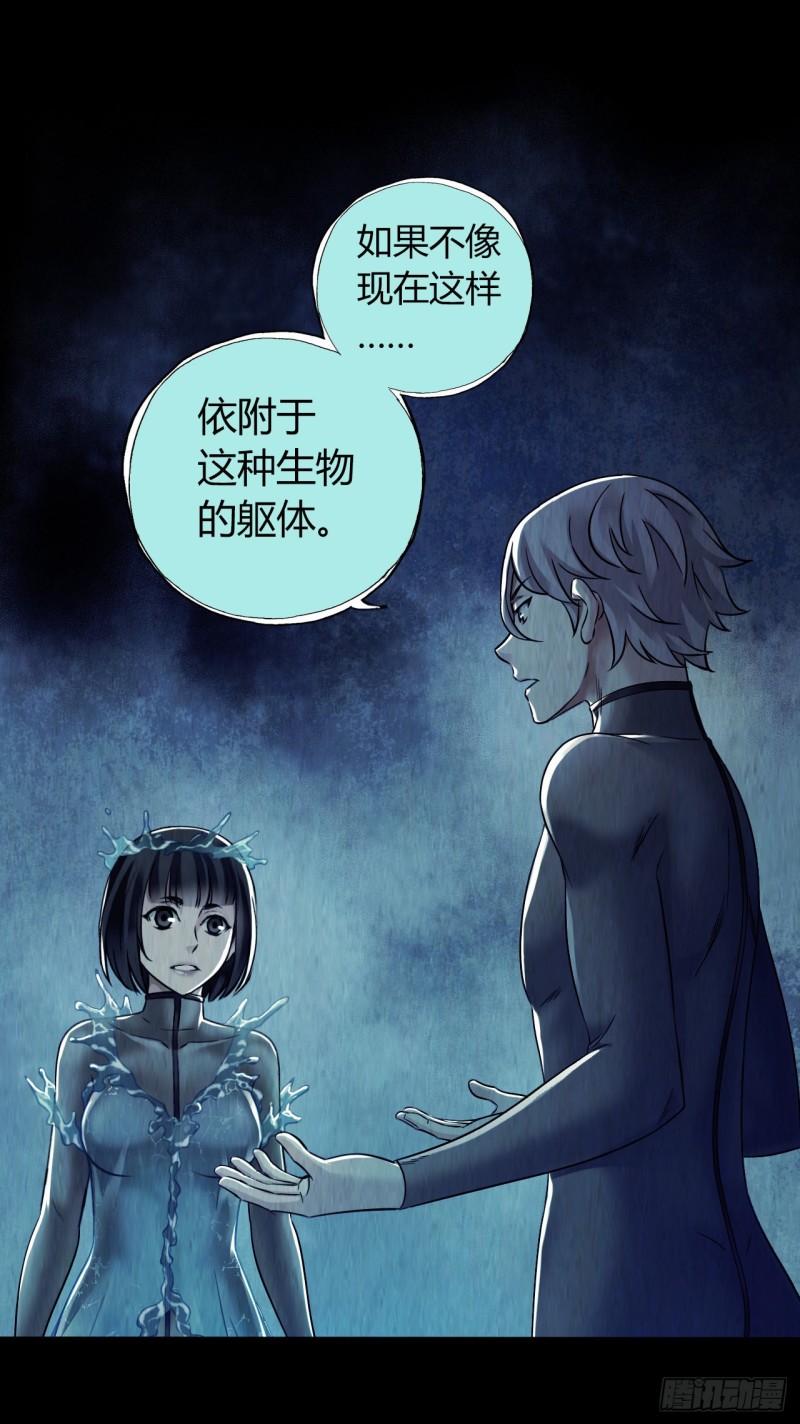 第 51 页