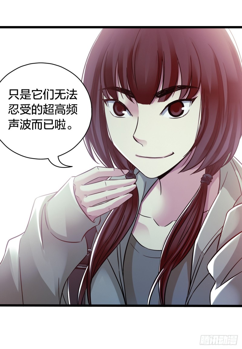 第 51 页