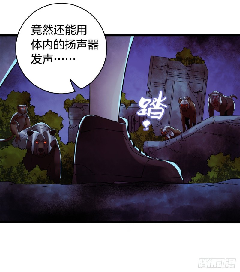 第 37 页
