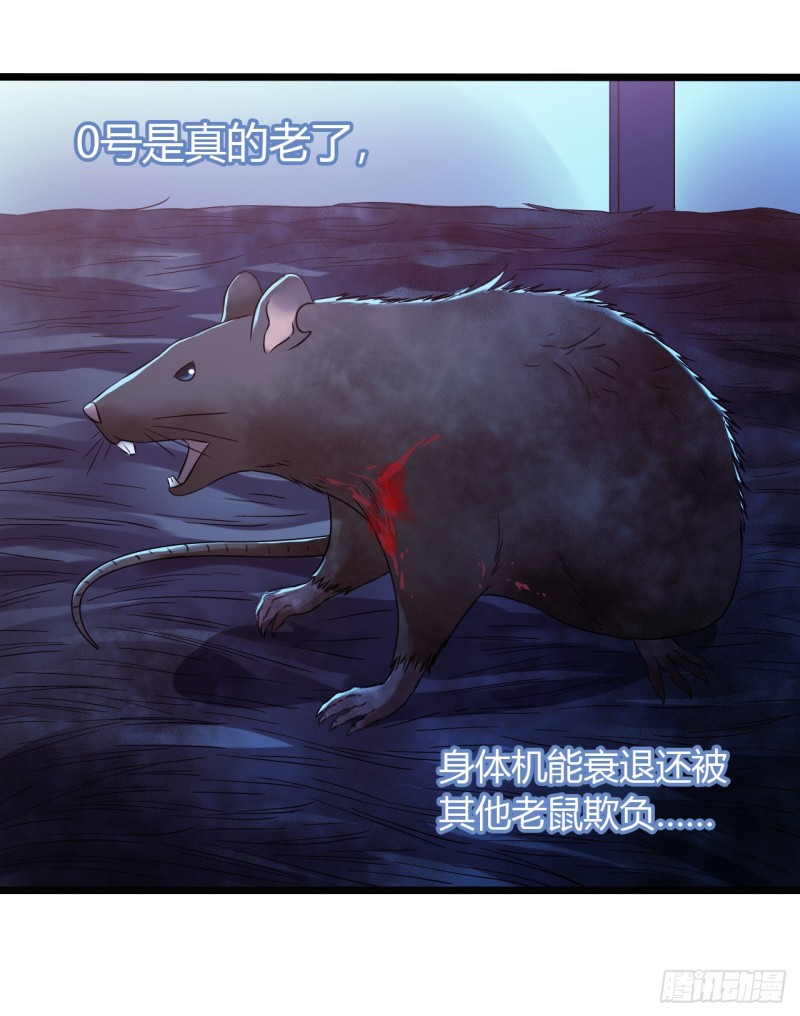 第 46 页
