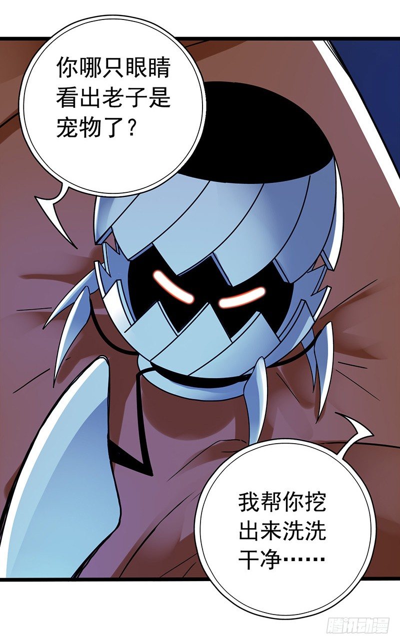 第 33 页