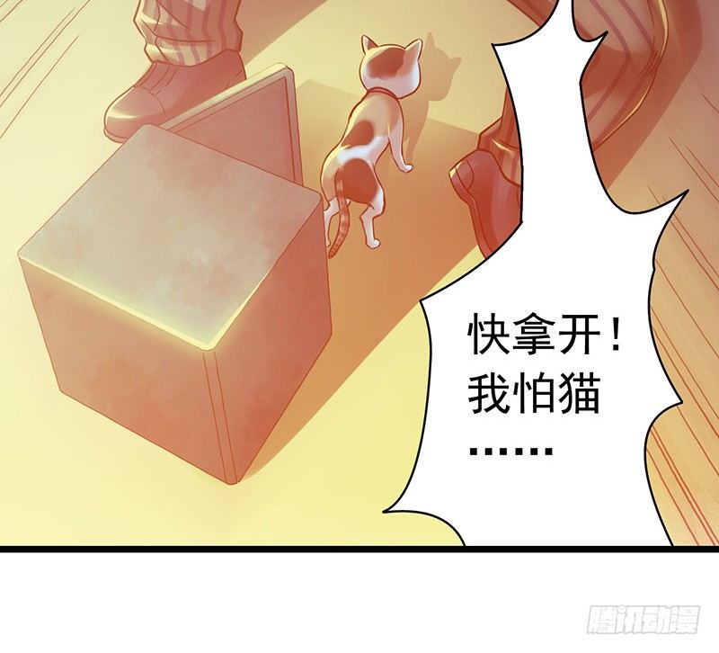 第 51 页
