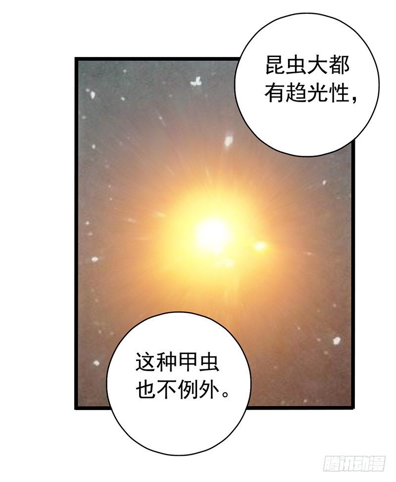第 47 页