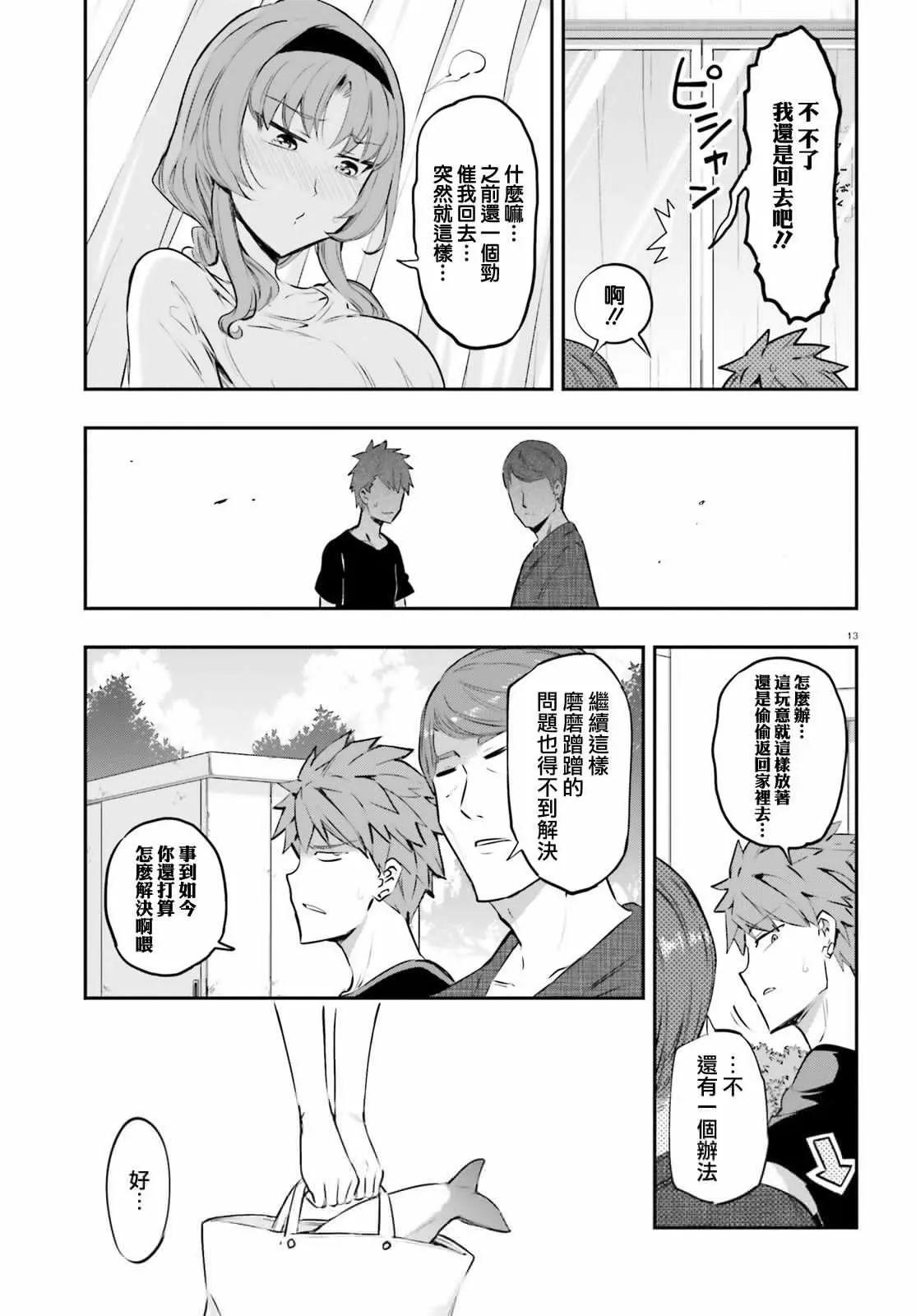 第 13 页